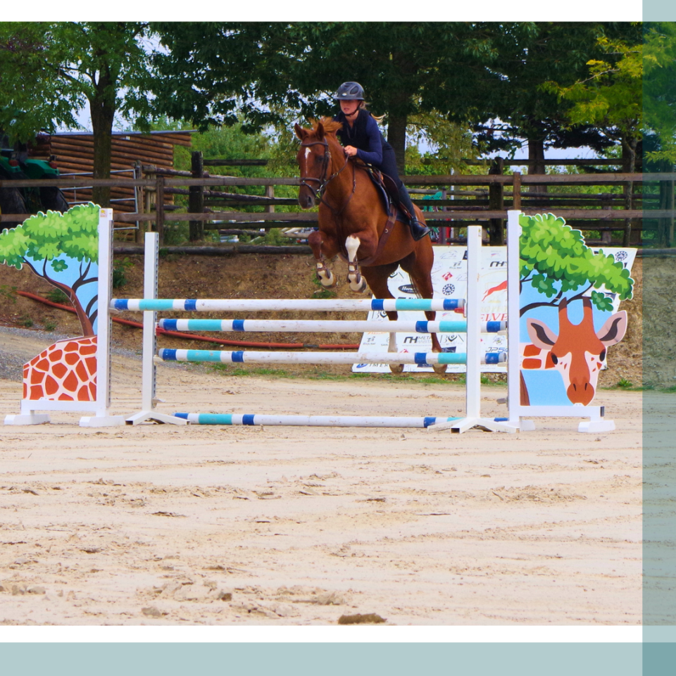 Jument 8 ans gagnante Amateur 2 CSO