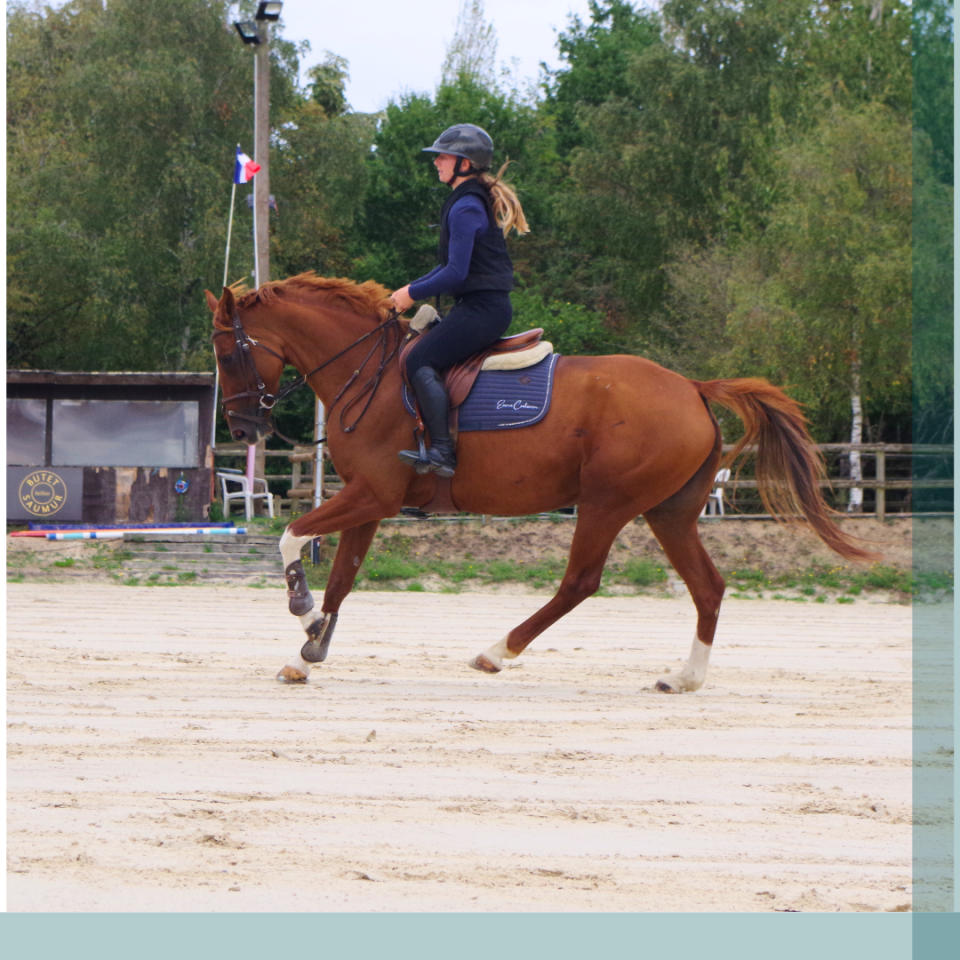 Jument 8 ans gagnante Amateur 2 CSO