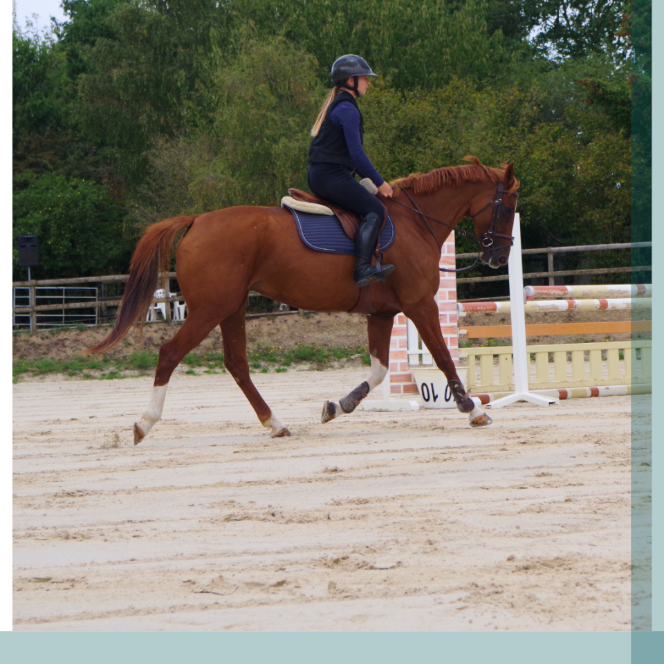 Jument 8 ans gagnante Amateur 2 CSO