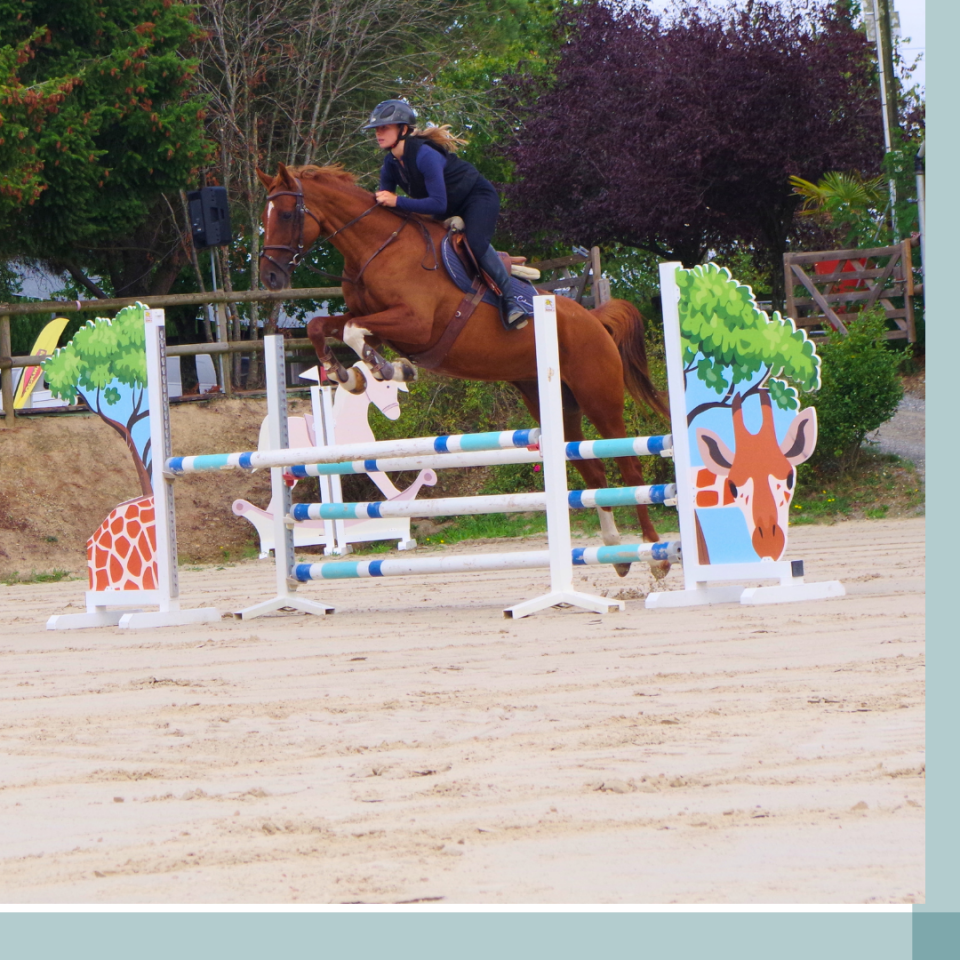 Jument 8 ans gagnante Amateur 2 CSO