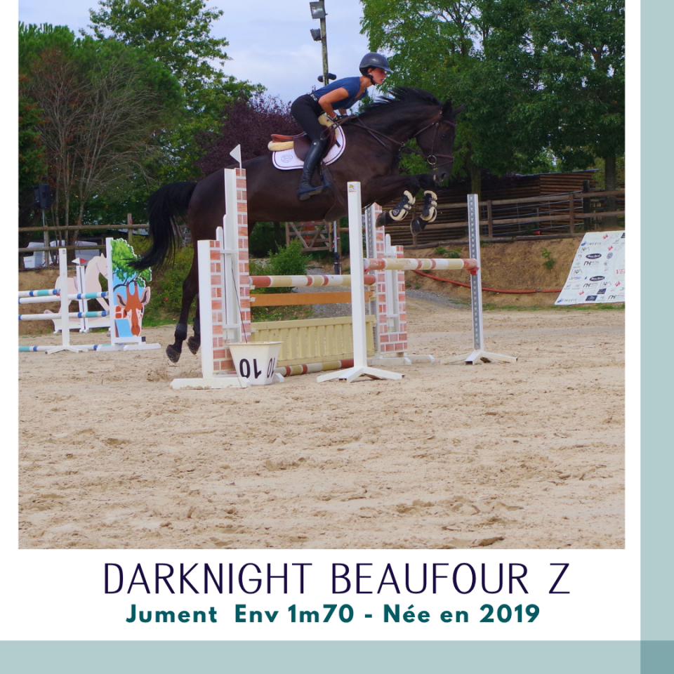 Superbe jument 7 ans CSO Env 1m70