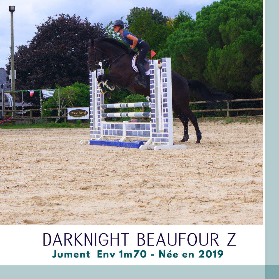 Superbe jument 7 ans CSO Env 1m70