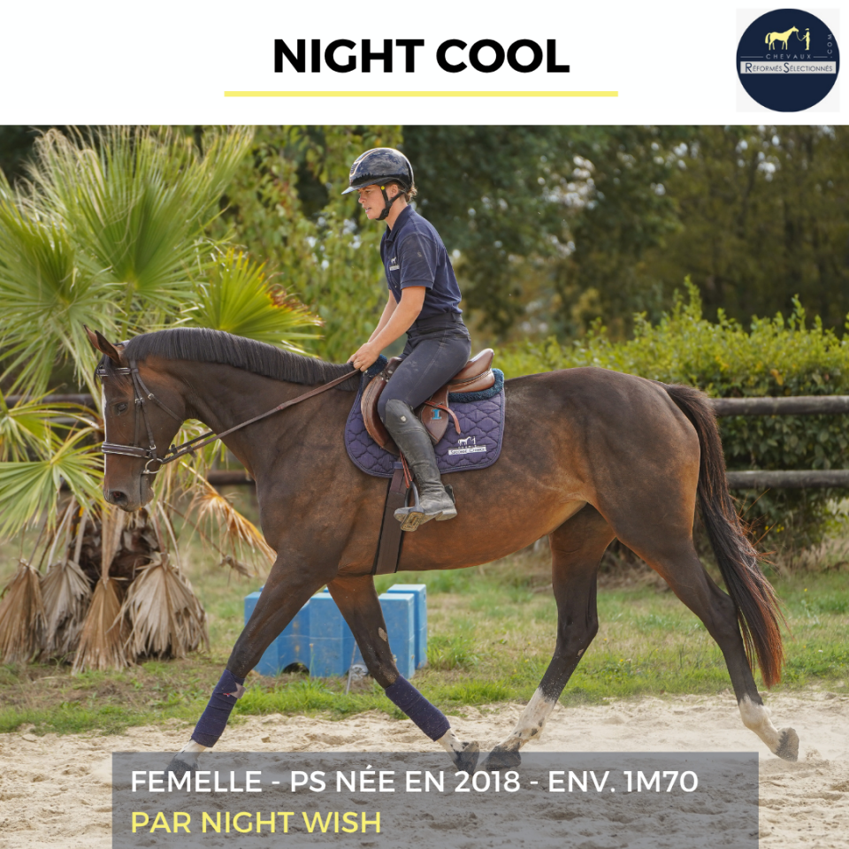 NIGHT COOL - PS - 8 ANS