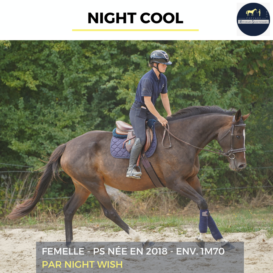 NIGHT COOL - PS - 8 ANS