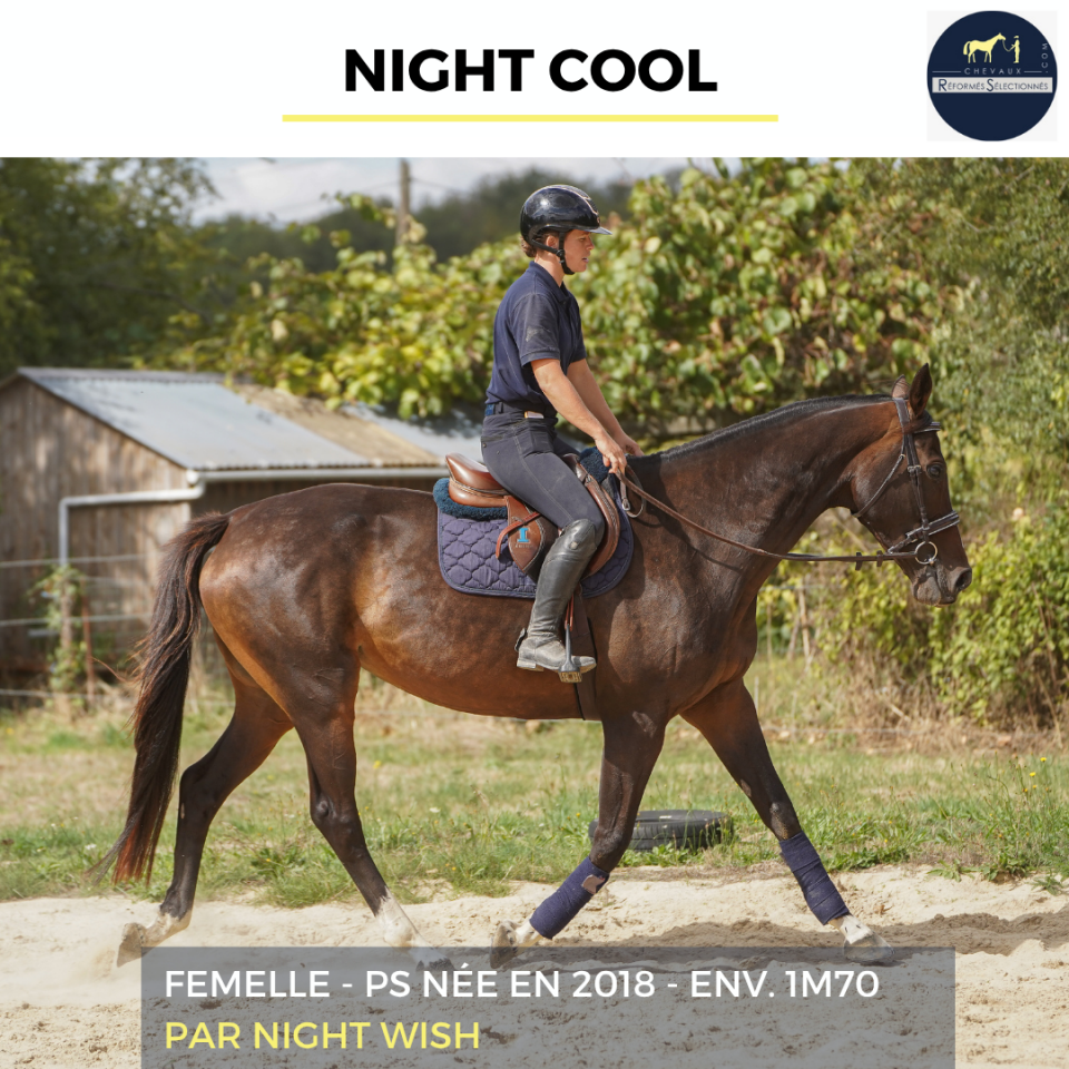 NIGHT COOL - PS - 8 ANS