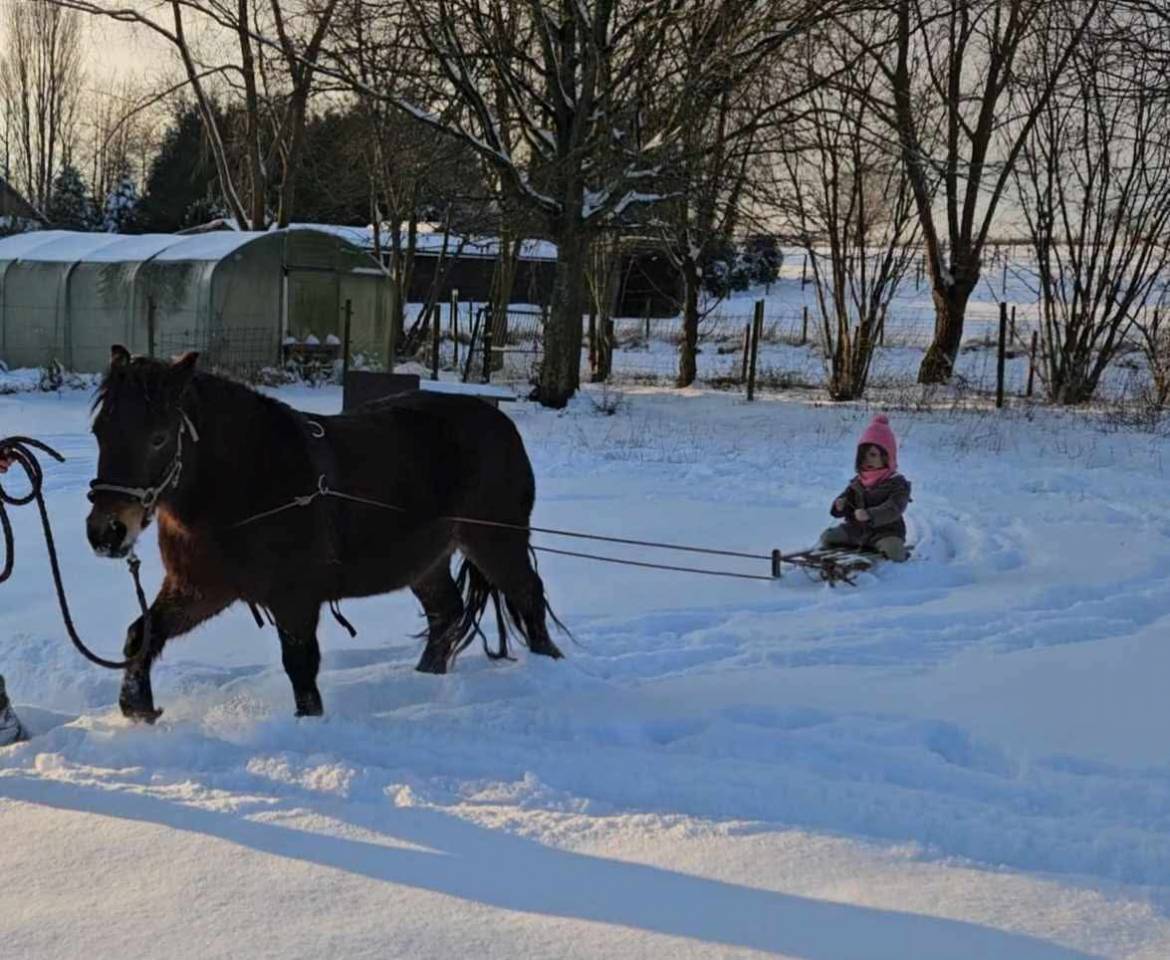 Superbe ponette assurance vie