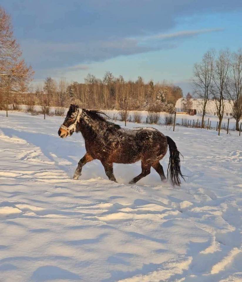 Superbe ponette assurance vie
