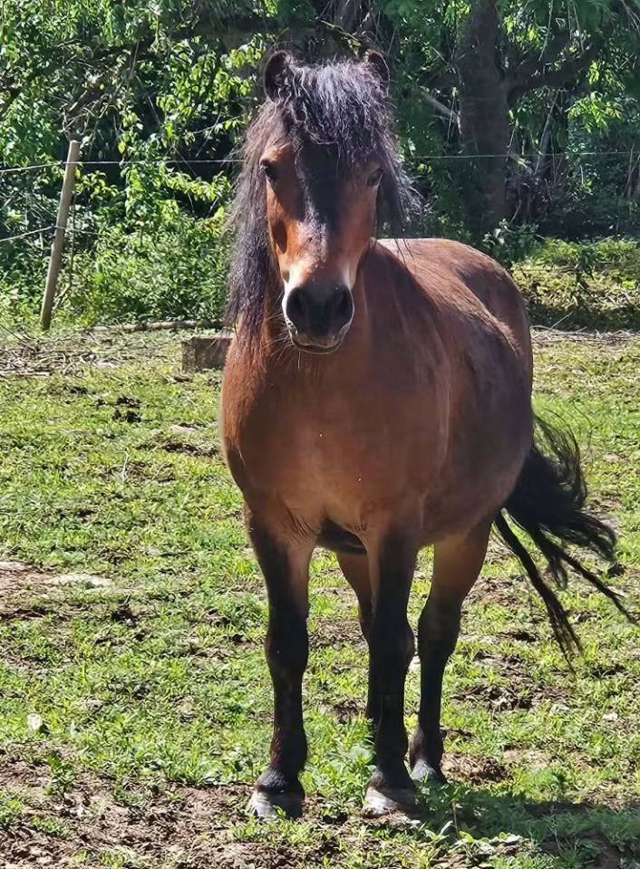 Superbe ponette assurance vie