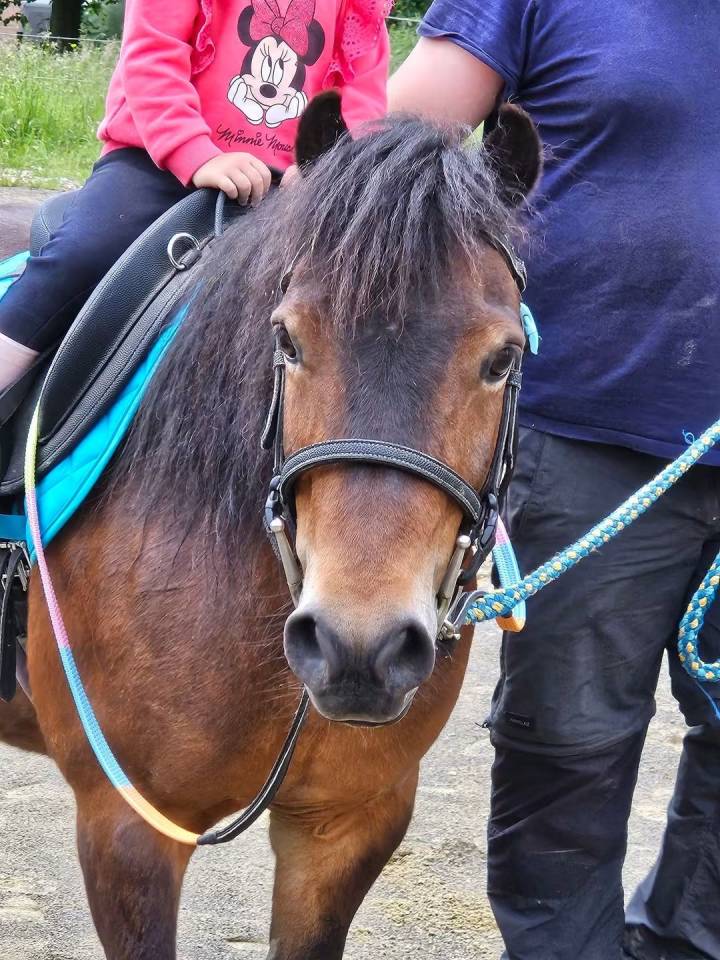Superbe ponette assurance vie