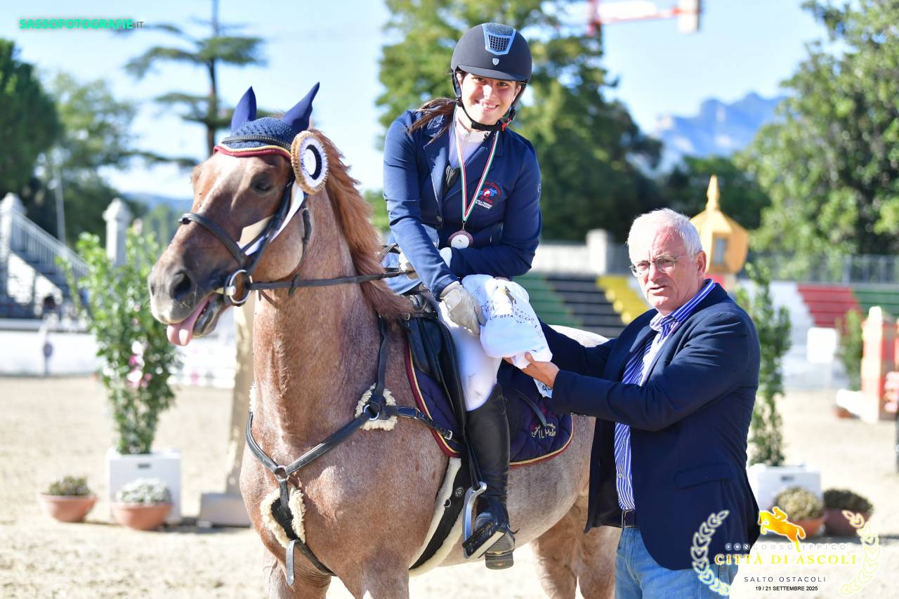 Hongre Poney de Selle Anglais A vendre 2017 Rouan