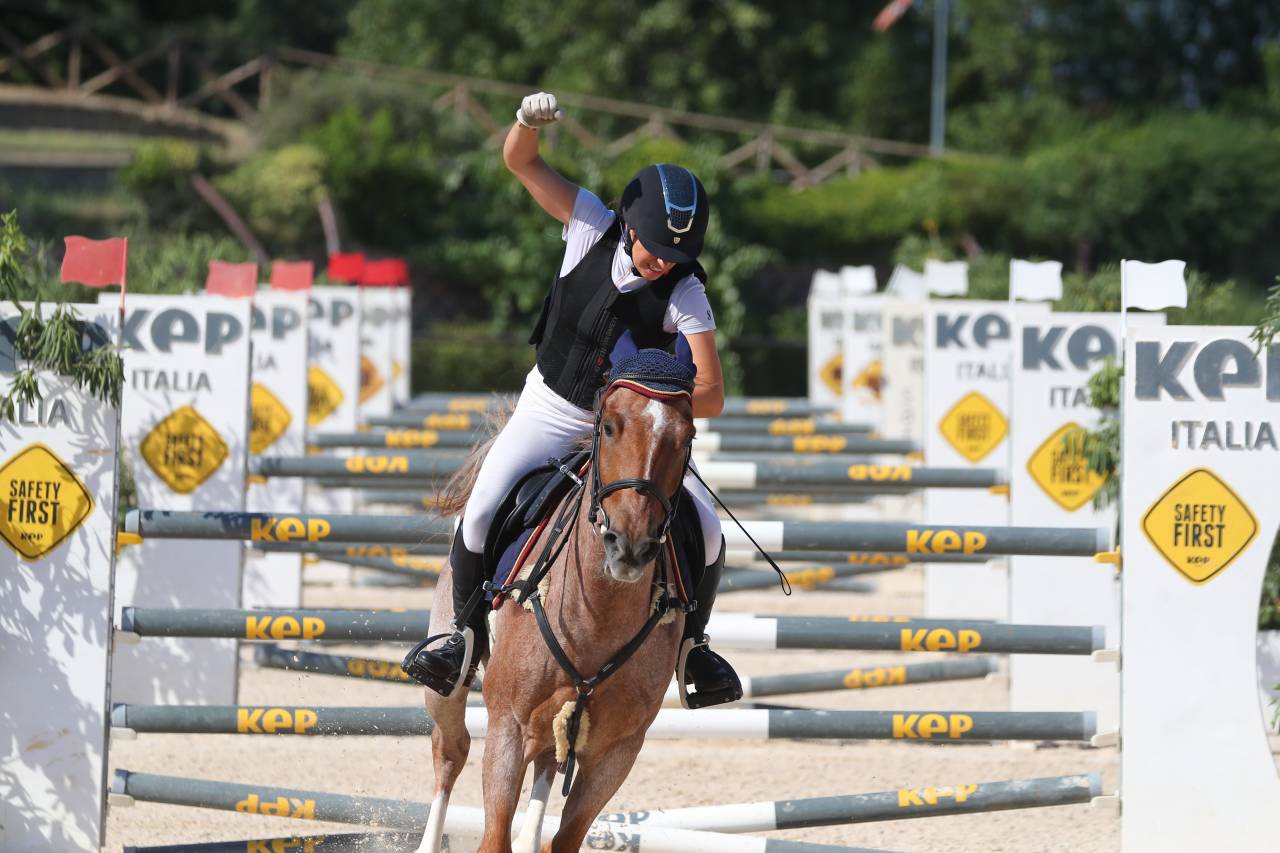 Hongre Poney de Selle Anglais A vendre 2017 Rouan