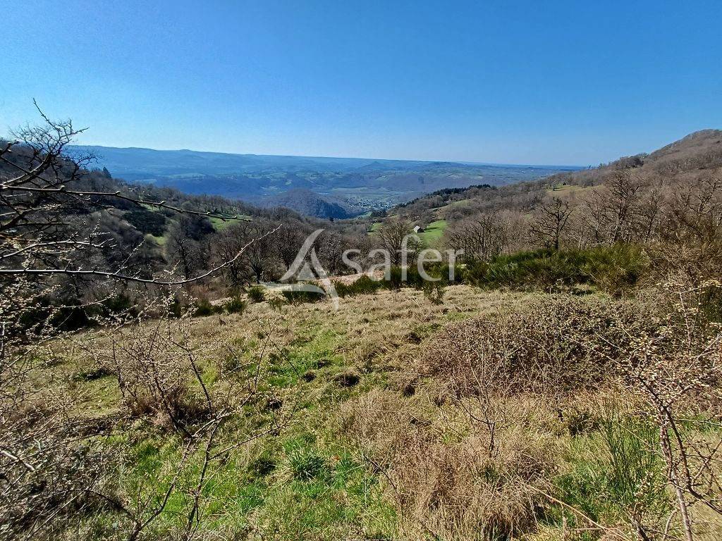 Ensemble de parcelles en diverses nature sur 16 ha 50