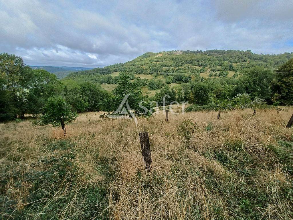 Ensemble de parcelles en diverses nature sur 16 ha 50