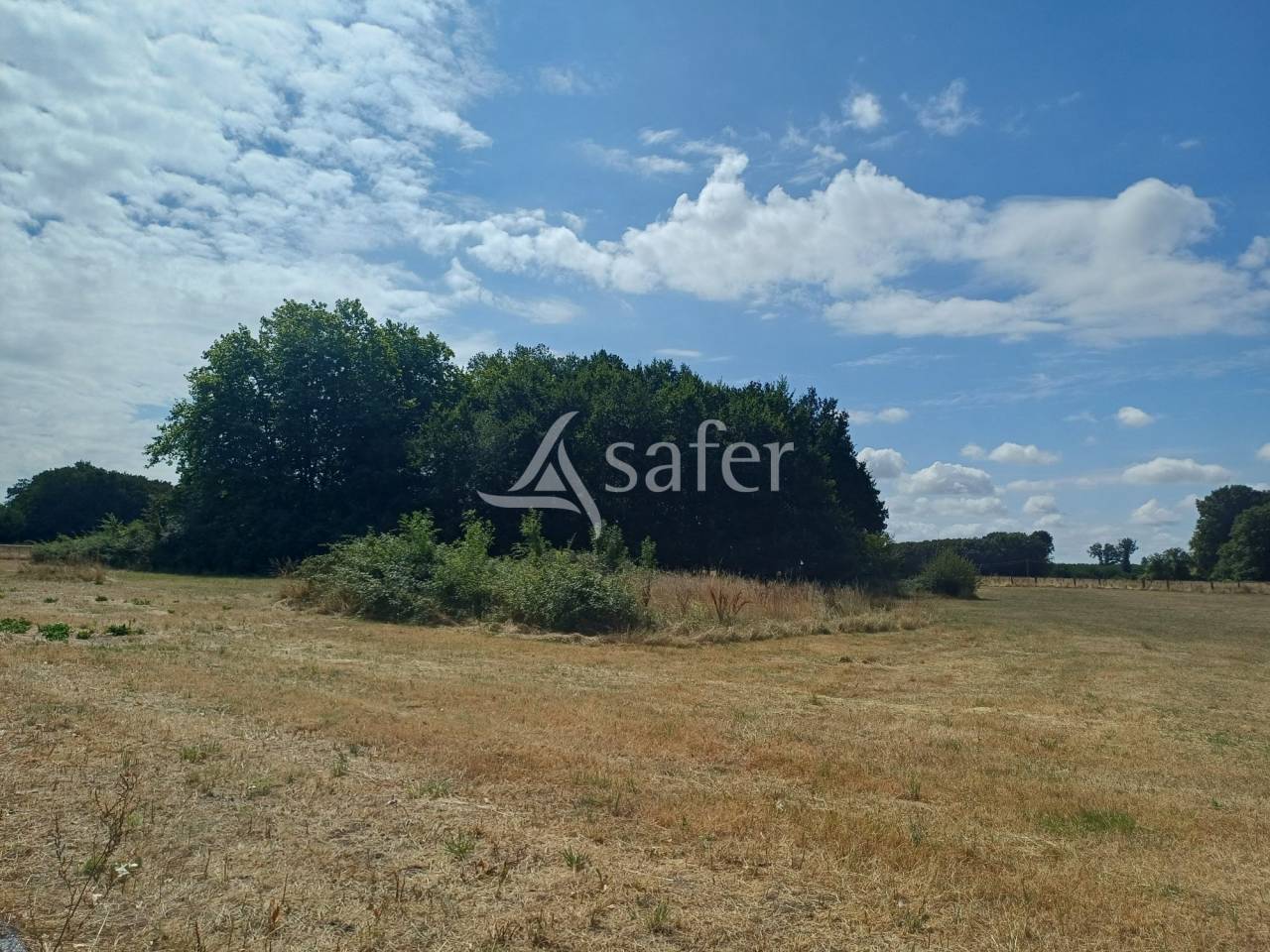 Propri&eacute;t&eacute; rurale avec 7Ha
