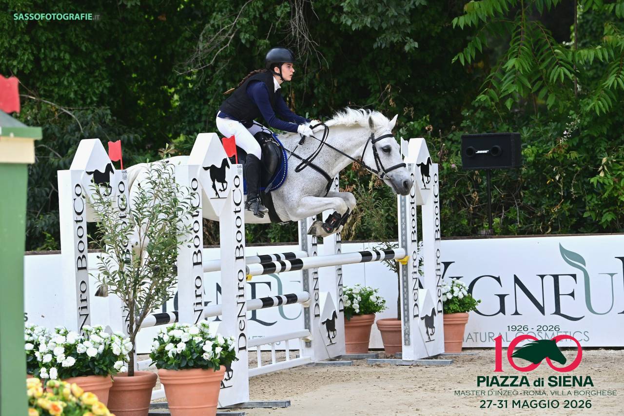 Jument Welsh Poney (Section D), Welsh Cob  A vendre 2009 Gris