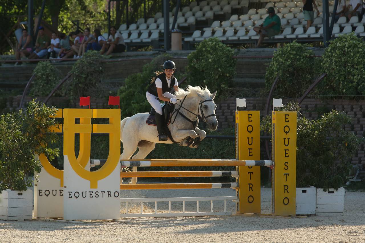 Jument Welsh Poney (Section D), Welsh Cob  A vendre 2009 Gris