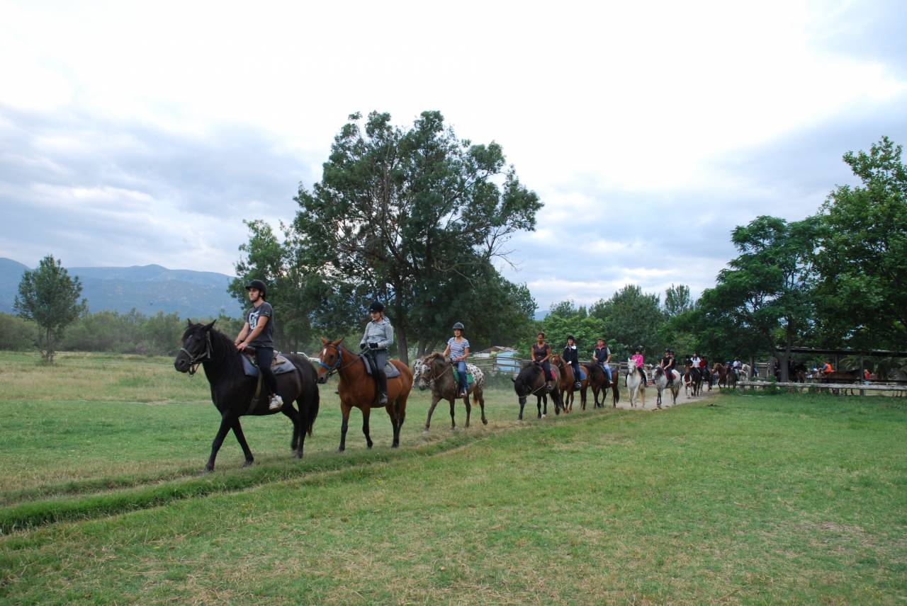 VEND CENTRE EQUESTRE ET CHEPTEL
