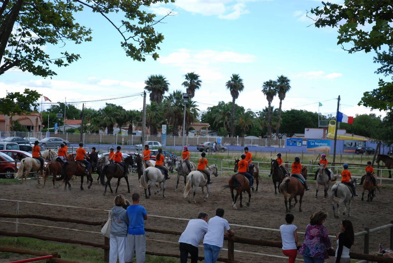 VEND CENTRE EQUESTRE ET CHEPTEL