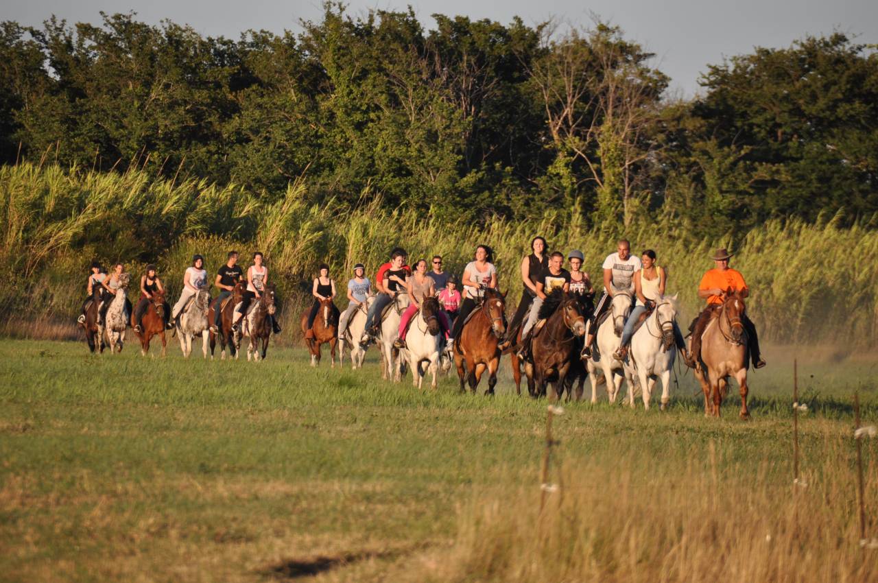 VEND CENTRE EQUESTRE ET CHEPTEL