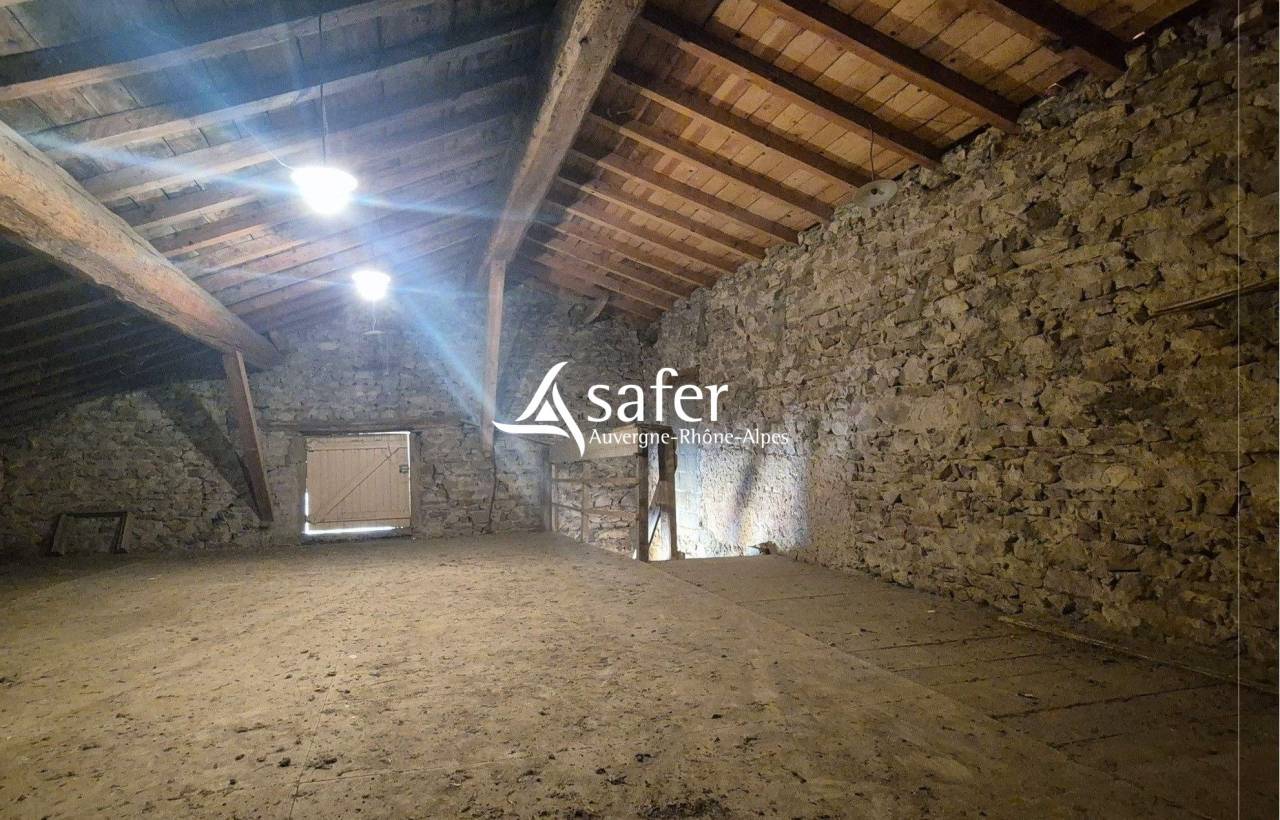 PROPRIETE AVEC DEUX HABITATIONS EN PIERRE - PIERRES DOREES