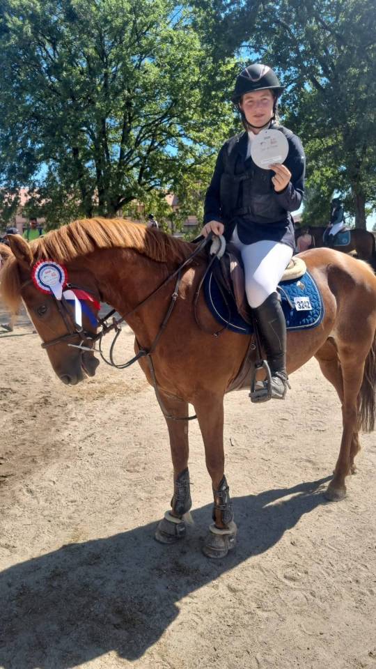 Super Ponette D de Concours 