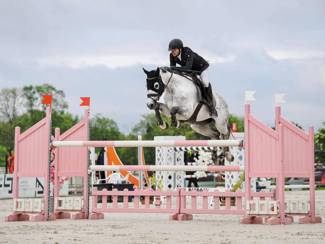 Cassalo &ndash; Hongre de 11 ans &ndash; 1m68