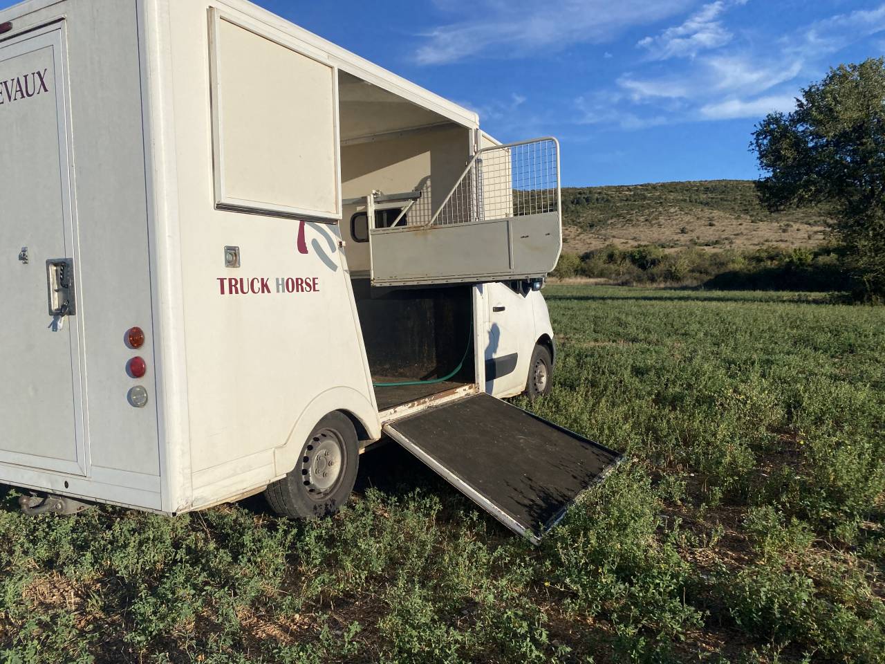 &Agrave; VENDRE &ndash; RENAULT MASTER CAMION CHEVAUX