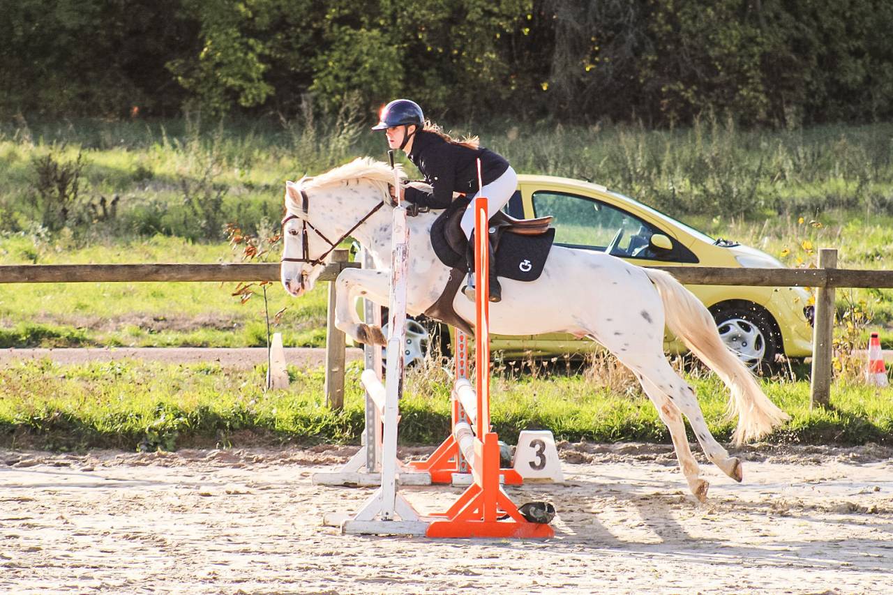 Poney 4 ans 