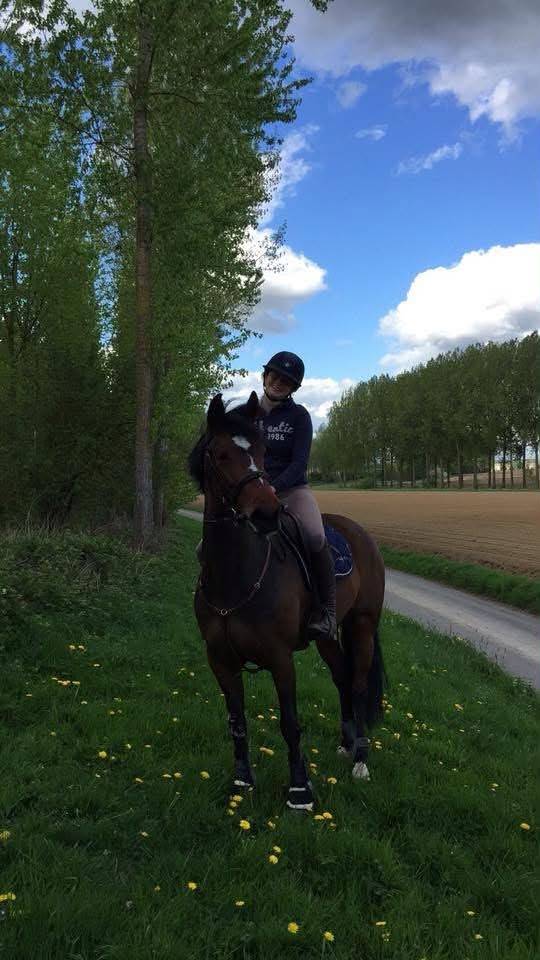 Jument sbs 14 ans pour loisirs 