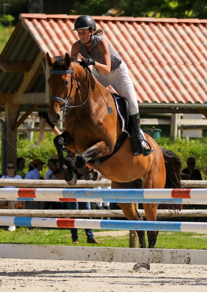Jeune cheval d'avenir