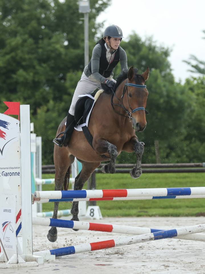 Jeune cheval d'avenir