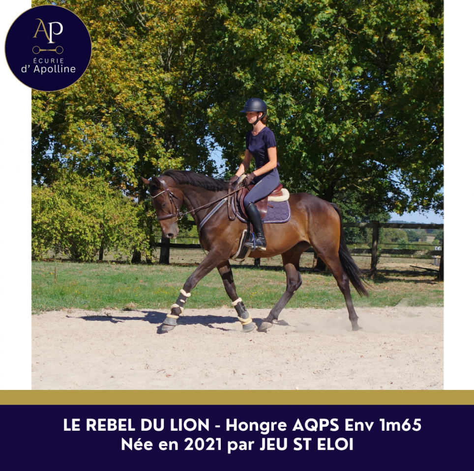 AQPS 5 ans beau mod&egrave;le 