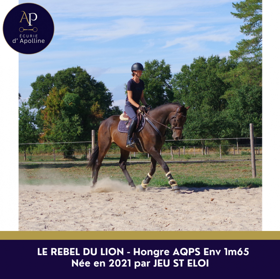 AQPS 5 ans beau mod&egrave;le 
