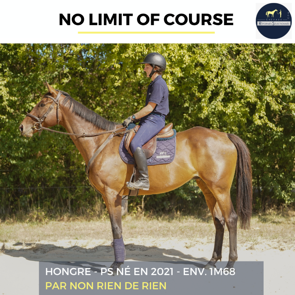 NO LIMIT OF COURSE - PS - 4 ANS