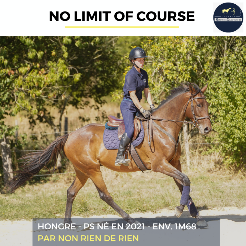 NO LIMIT OF COURSE - PS - 4 ANS