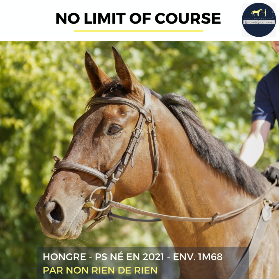 NO LIMIT OF COURSE - PS - 4 ANS