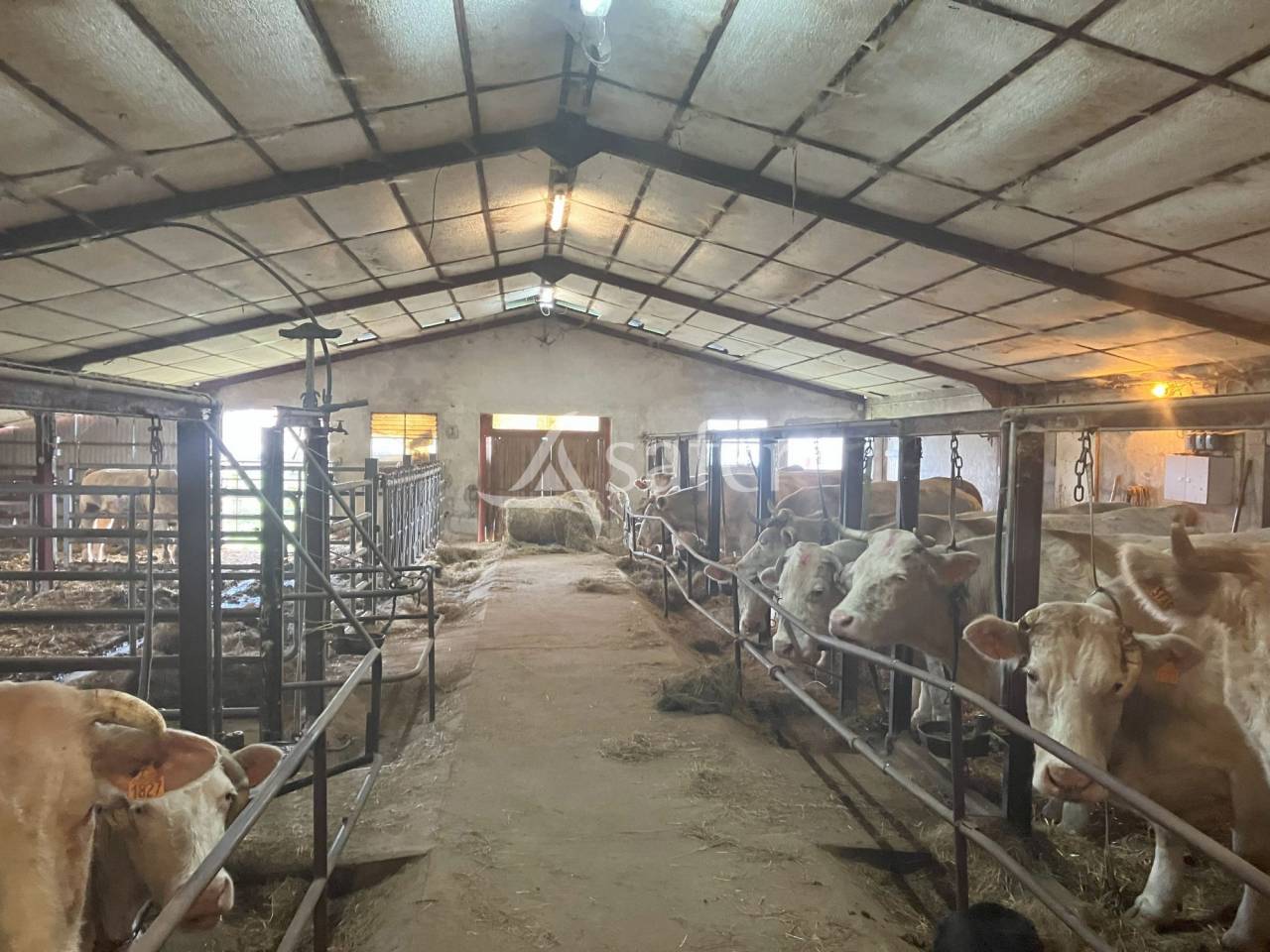 Fontenay Belle ferme d'&eacute;levage