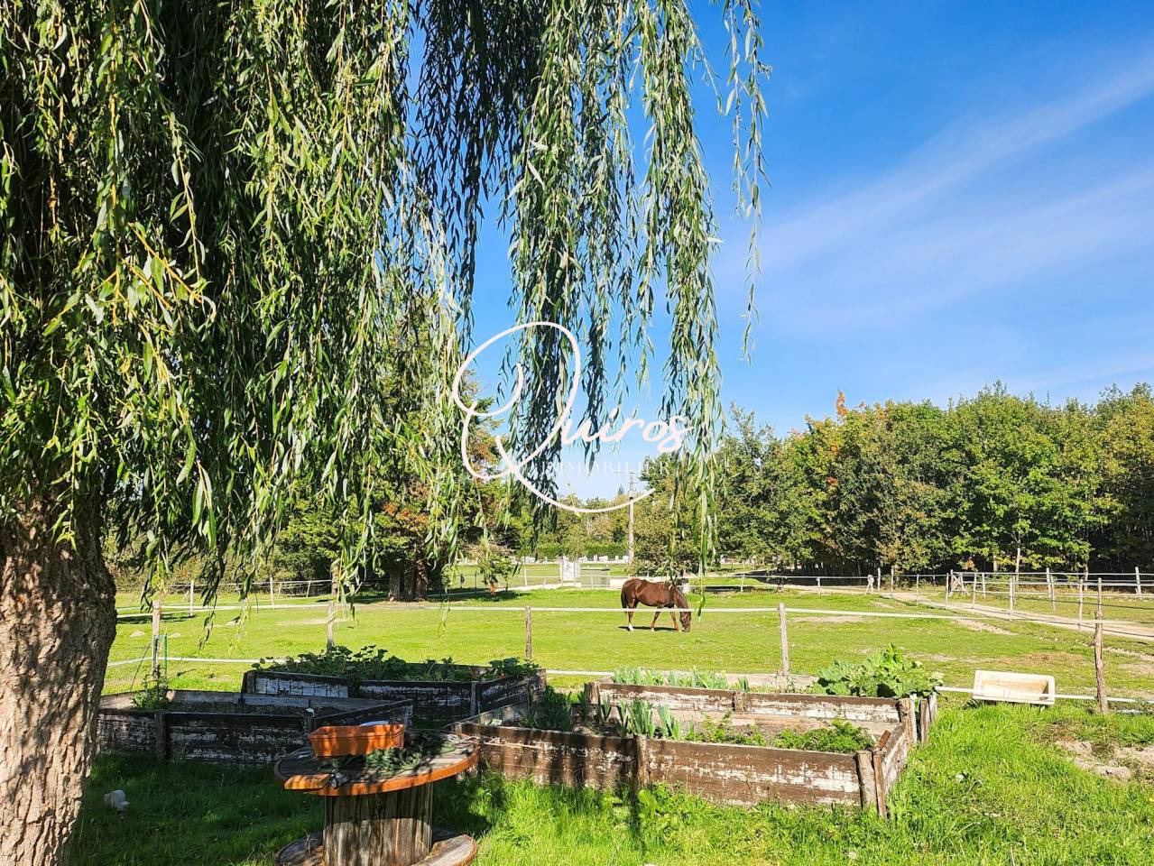 Centre &eacute;questre  17 ha  Lamotte-Beuvron