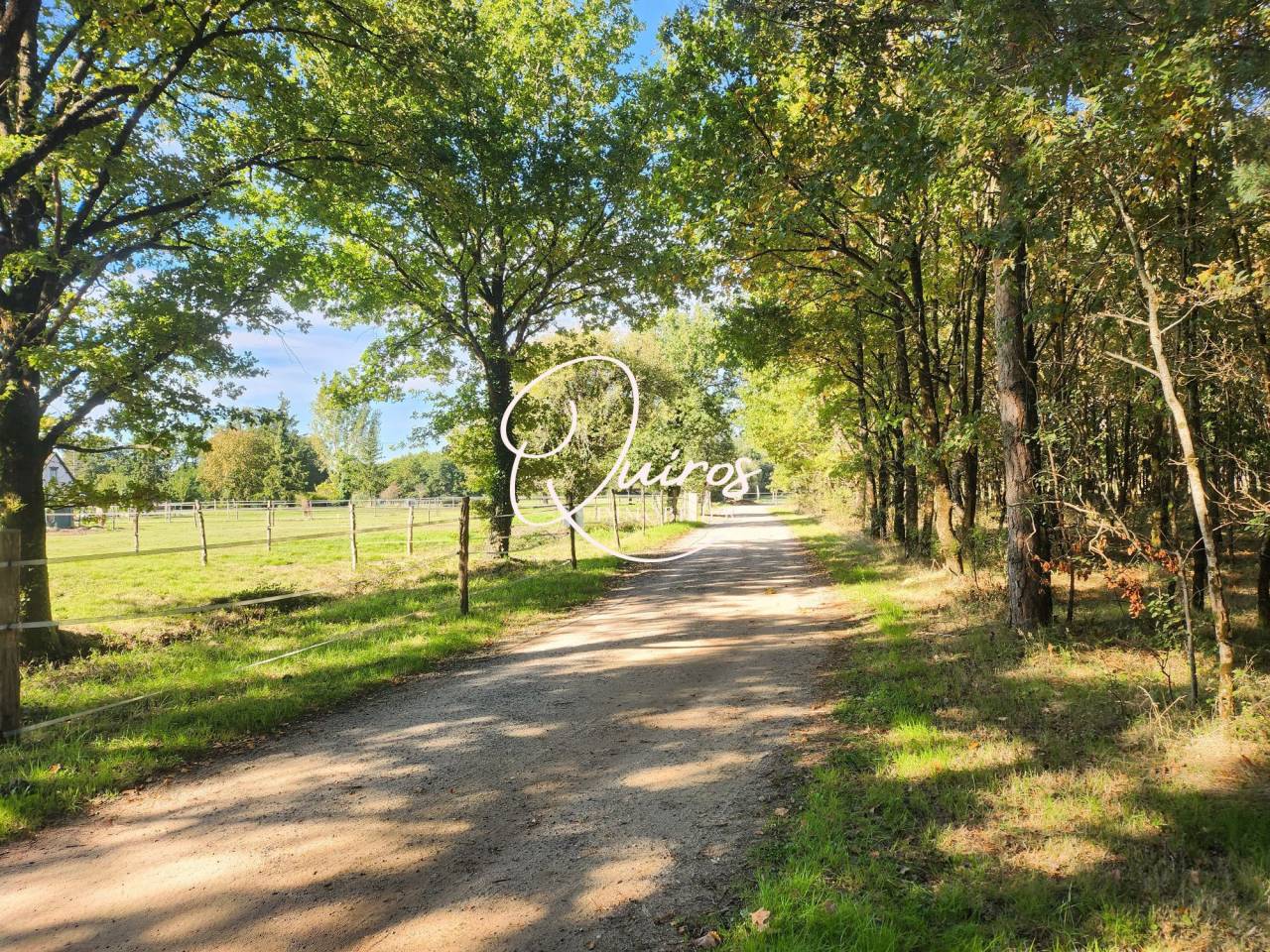 Centre &eacute;questre  17 ha  Lamotte-Beuvron