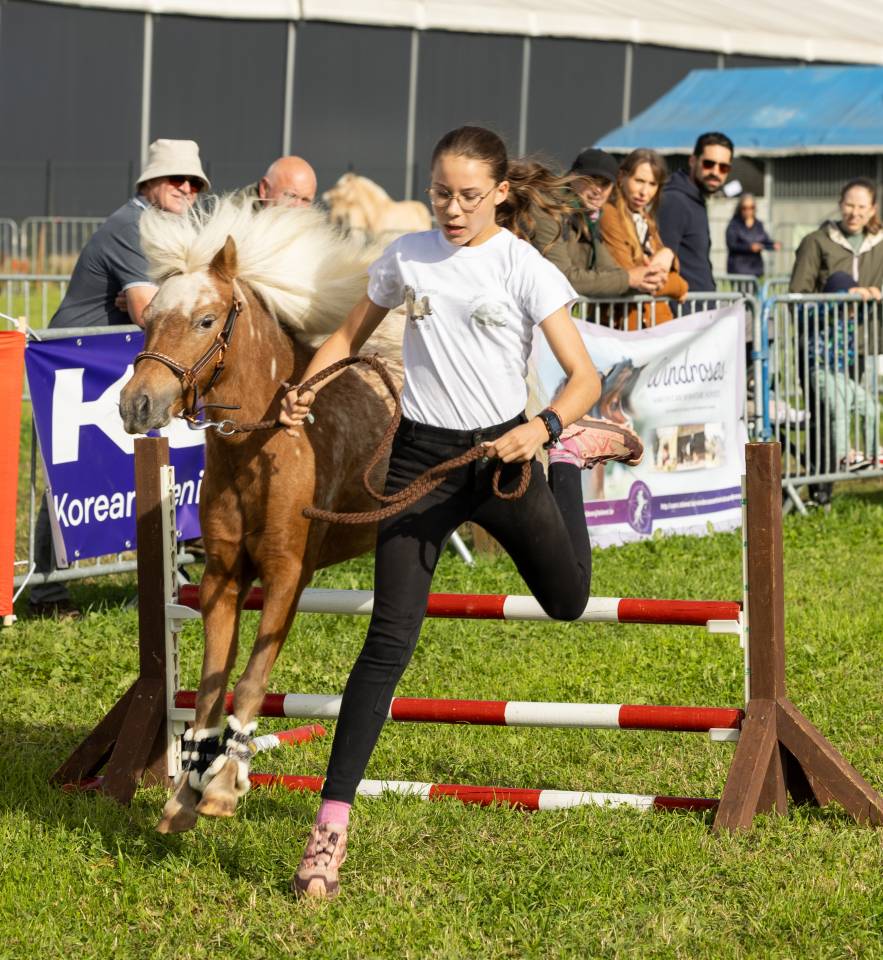 Jument silver appaloosa de 95 cm