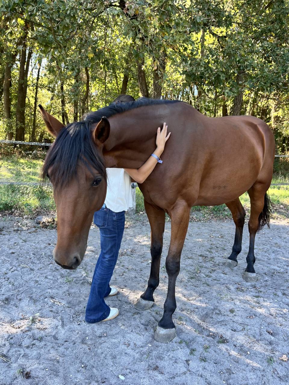 Trotteuse de 5 ans 