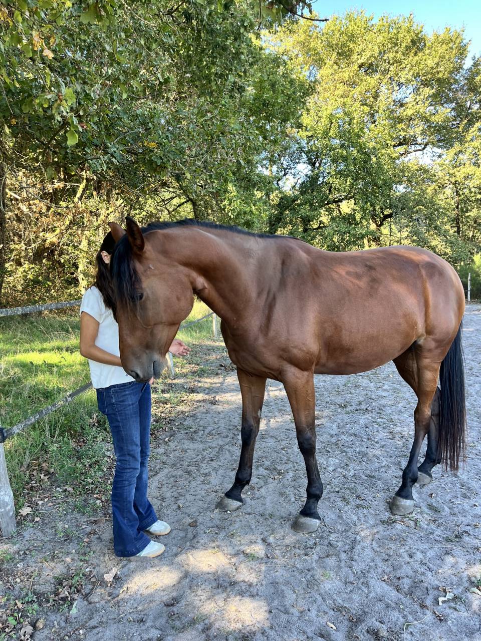 Trotteuse de 5 ans 