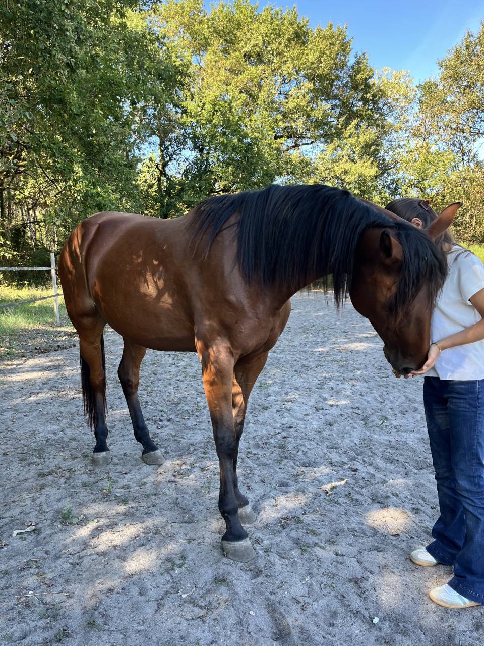 Trotteuse de 5 ans 