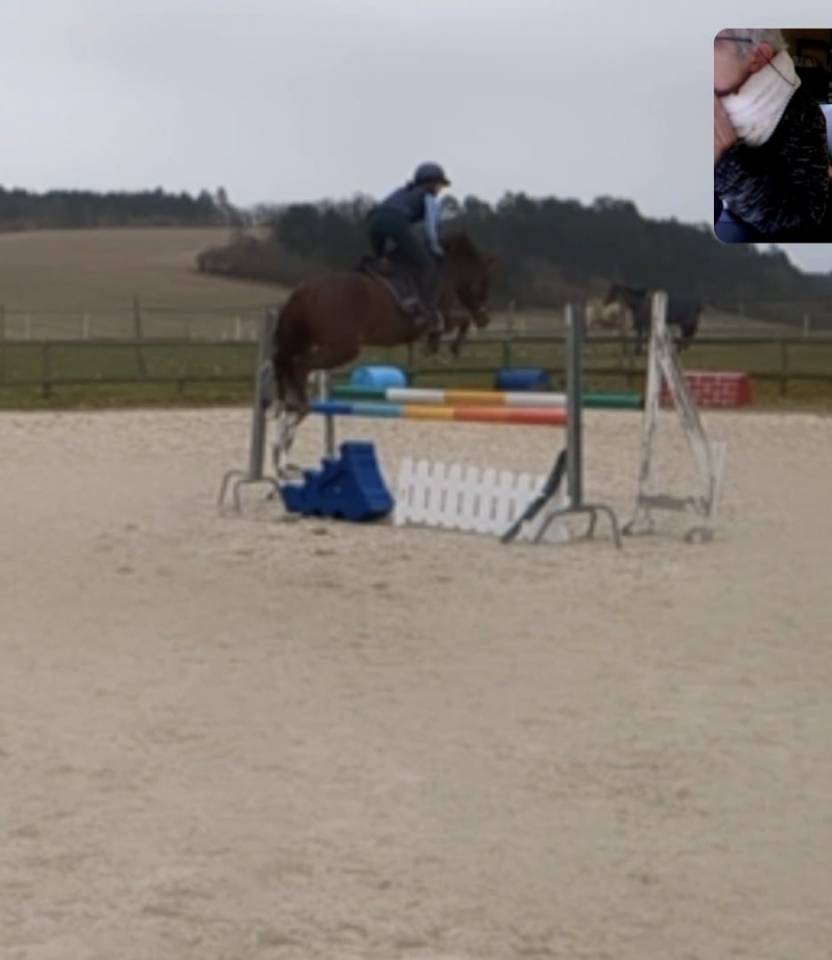 Ponette NF 146cm, 5 ans  moyens pour les AS.