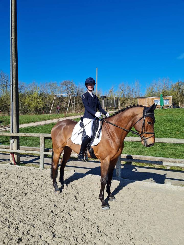 Hongre de 20 ans &ndash; Cheval polyvalent et exp&eacute;riment&eacute;