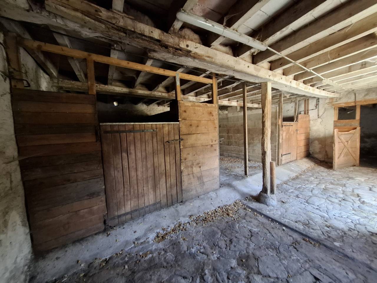 Propri&eacute;t&eacute; &eacute;questre avec grande maison, piscine et nombreuses