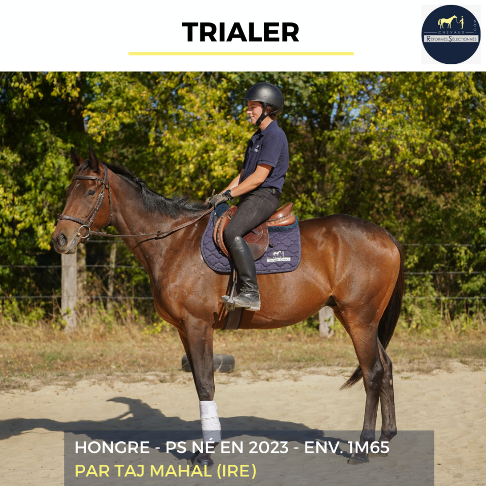 TRIALER - PS - 3 ANS