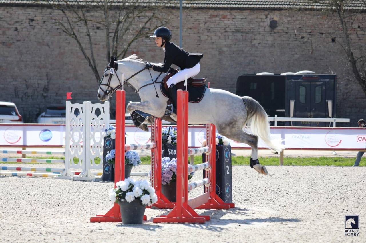Hongre CSO 9 ans 