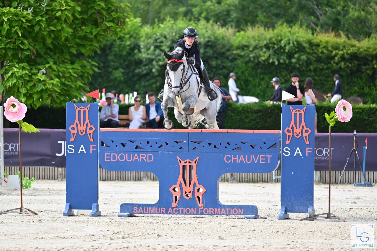 Cheval &agrave; vendre de 13 ans saute 1.40-45 