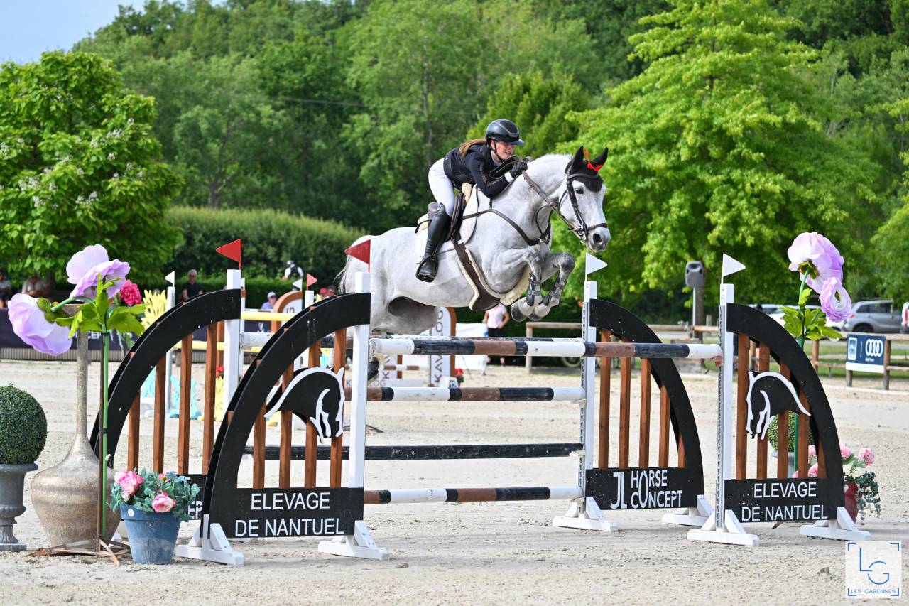 Cheval &agrave; vendre de 13 ans saute 1.40-45 